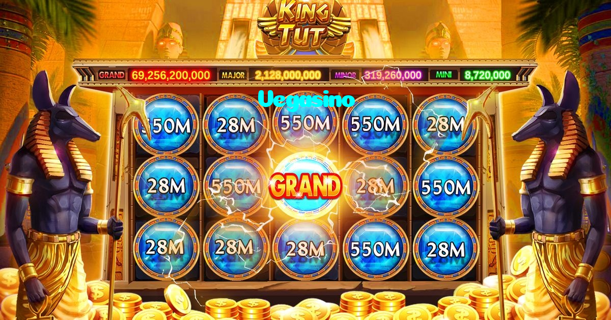 available types of Vegasino bet including pre-match live express and system bets