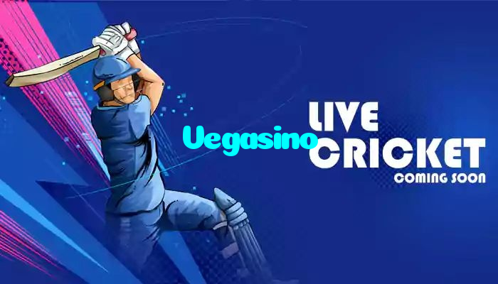 Vegasino casino presented on mobile device in Pakistan with slots and live games